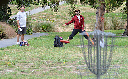 Disc Golf New Zealand